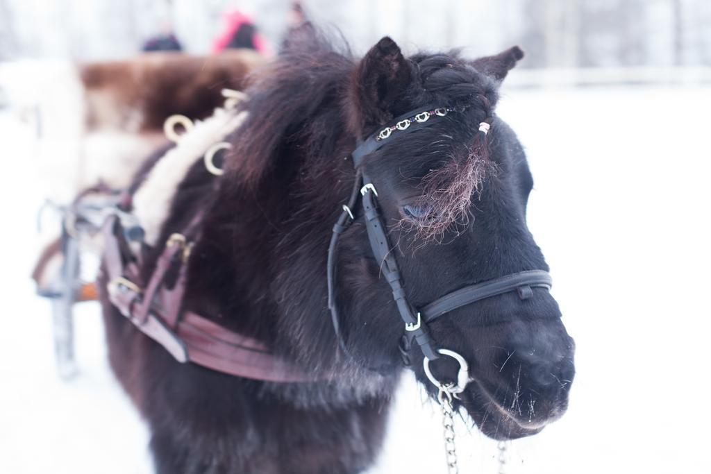 Petaejaekylae Villa Kuusamo Kültér fotó
