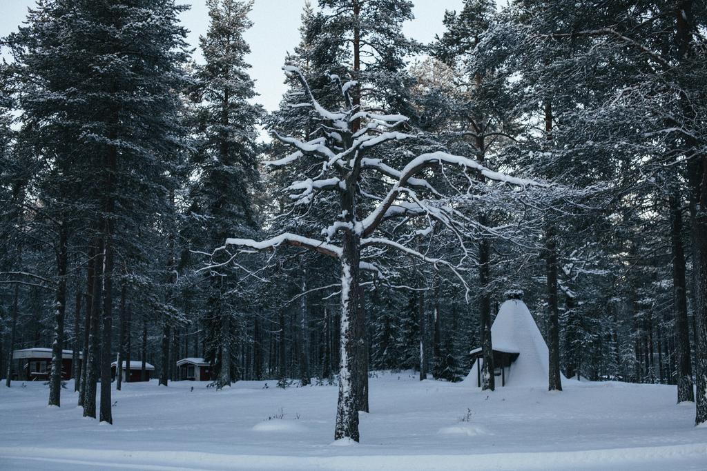 Petaejaekylae Villa Kuusamo Szoba fotó